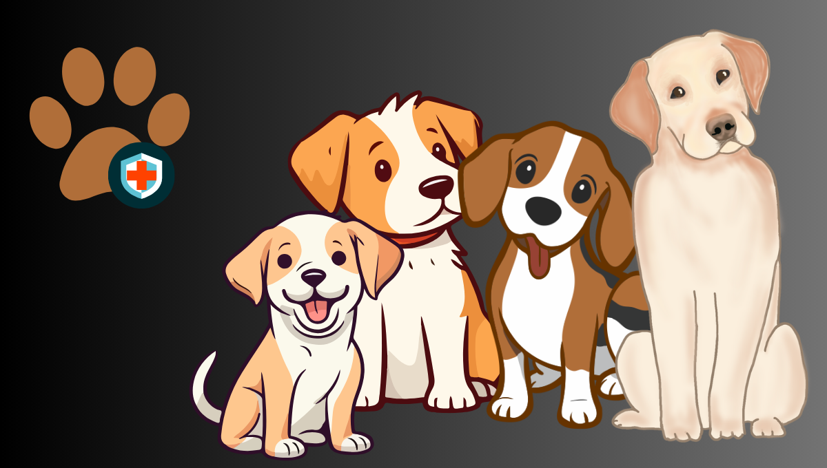 Pet Insurance in India: A Comprehensive Guide